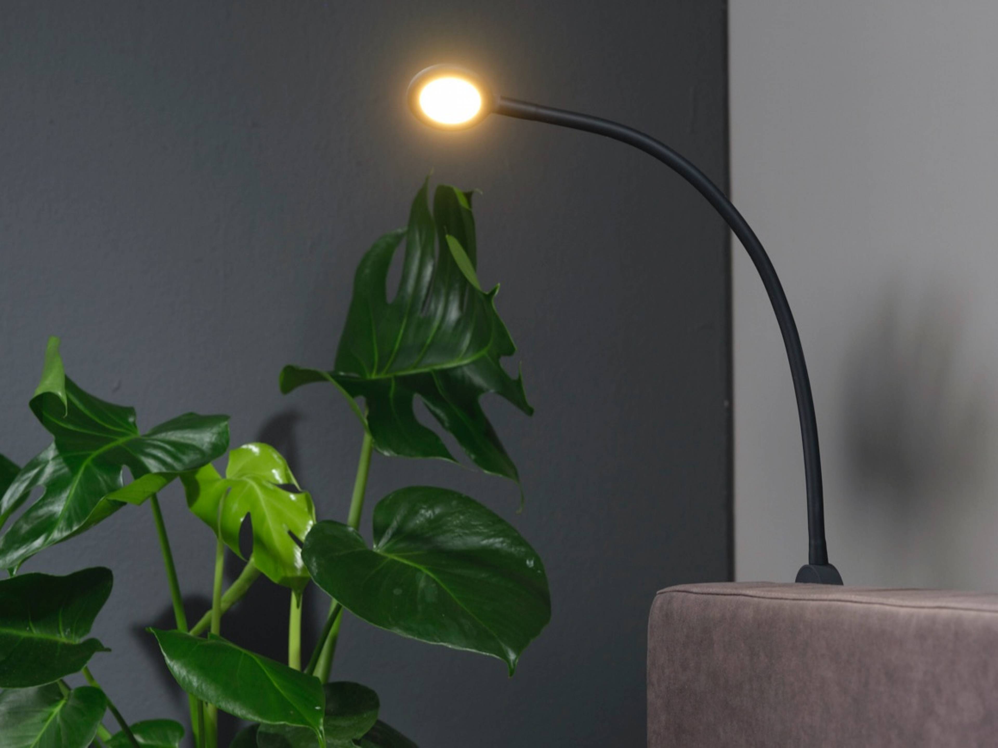 Pullman bedlampje